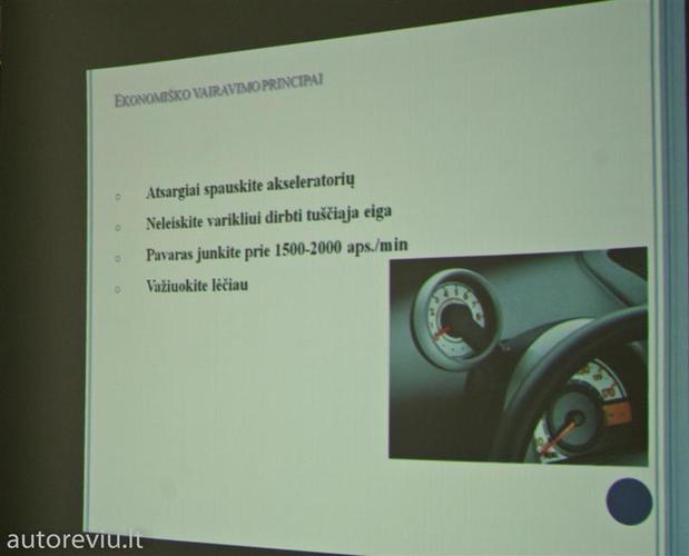 autovikingai__11___Large_