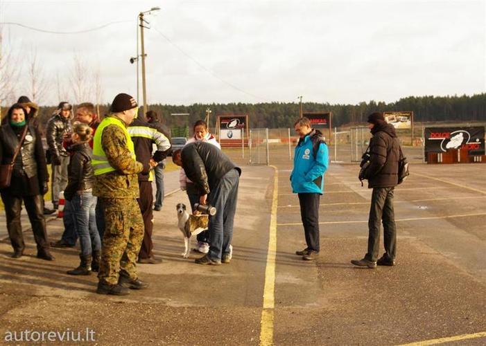 autovikingai__22___Large_