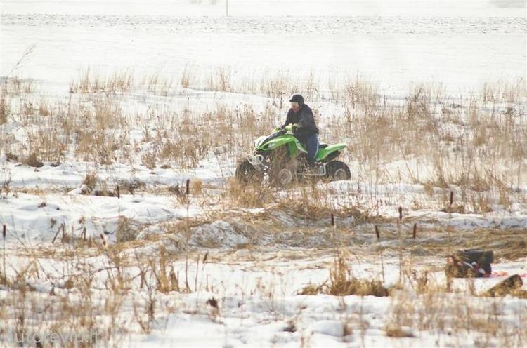 vasario16__7___Large_