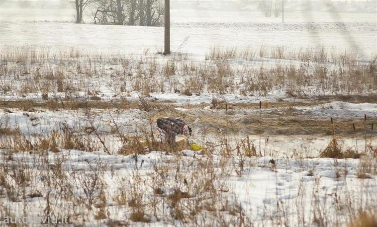 vasario16__24___Large_