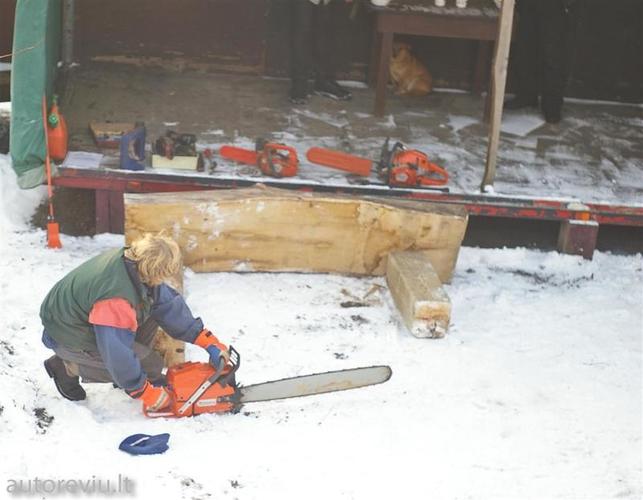 vasario16__33___Large_