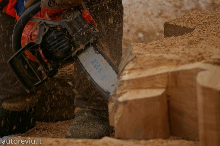 vasario16__80___Large_