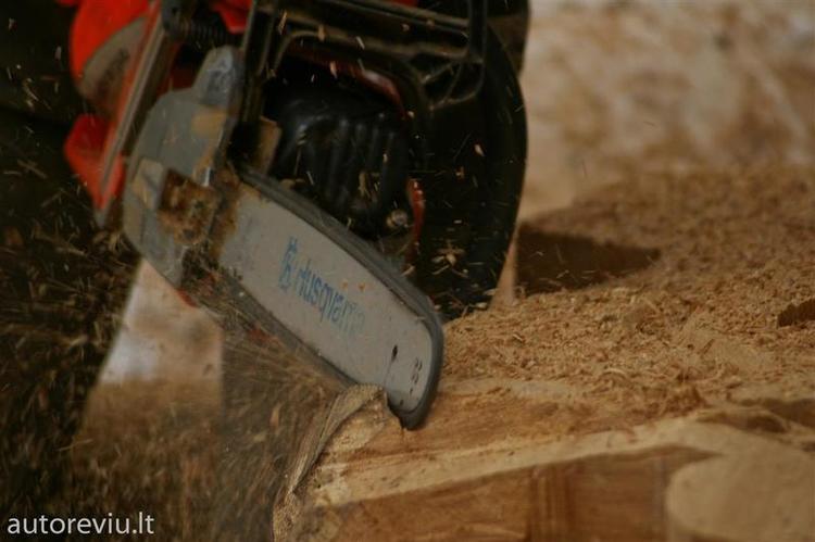 vasario16__81___Large_