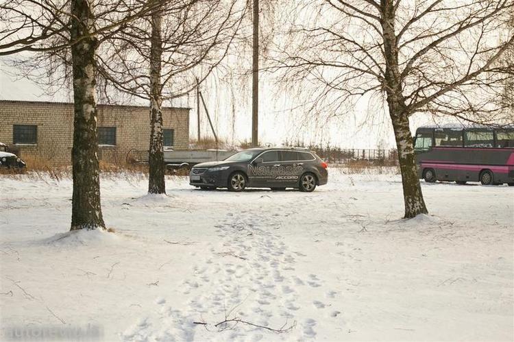 vasario16__32___Large_