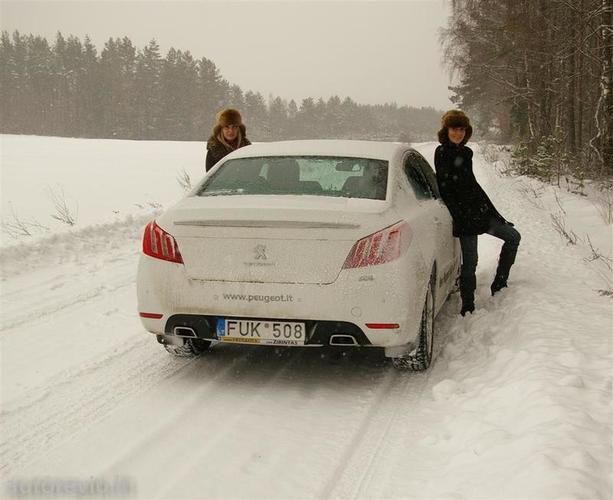 peugeot_508__20___Large_