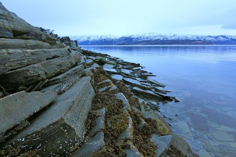 HondaExpedition_LT_Nordkapp_Arkties_vandenynas