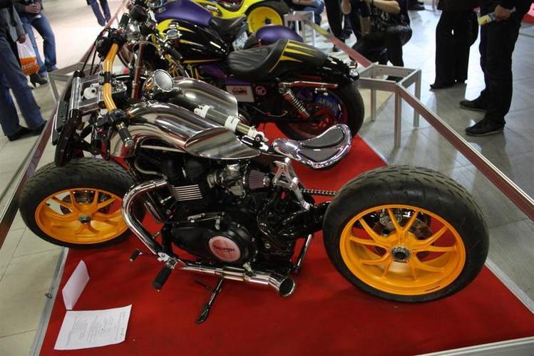 IMIS_2012__9___Large_