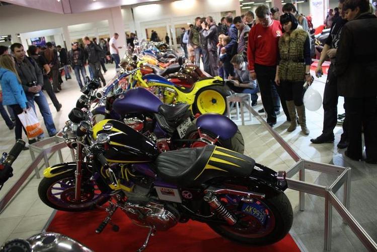 IMIS_2012__10___Large_