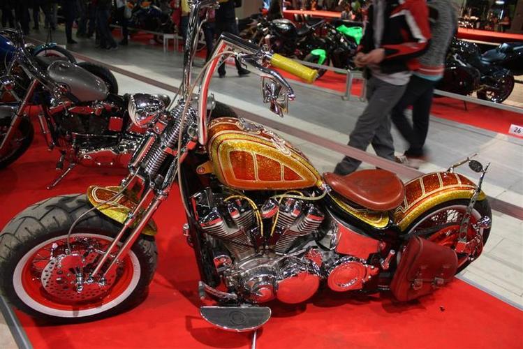 IMIS_2012__13___Large_