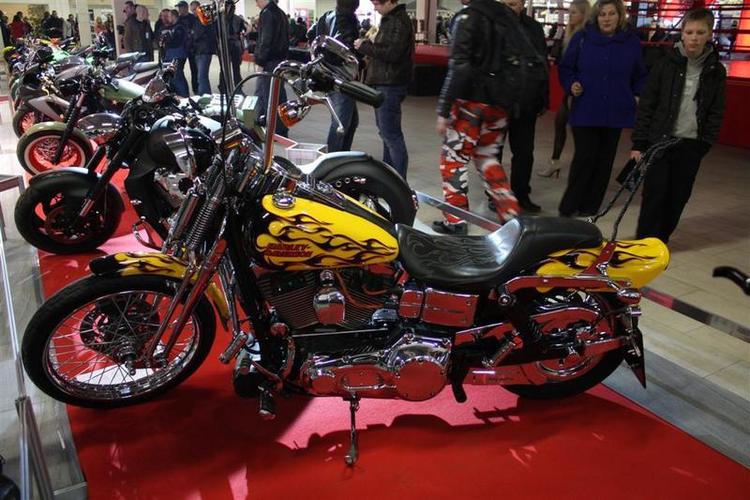 IMIS_2012__27___Large_