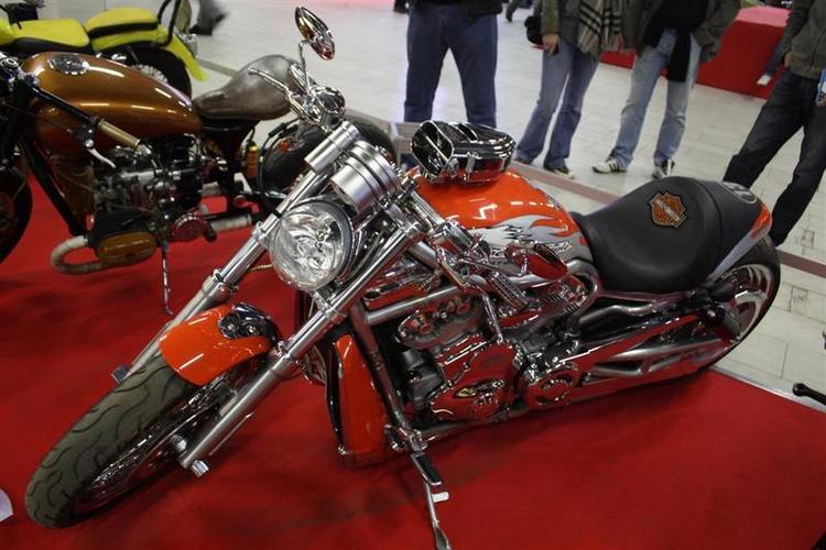 IMIS_2012__30___Large_