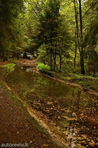 mokomes_iveikti_bekele__5_