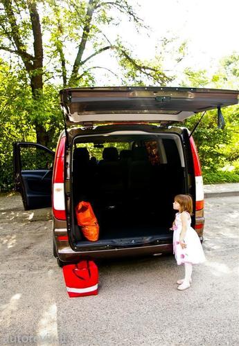 mercedes_benz_vito__6___Large_