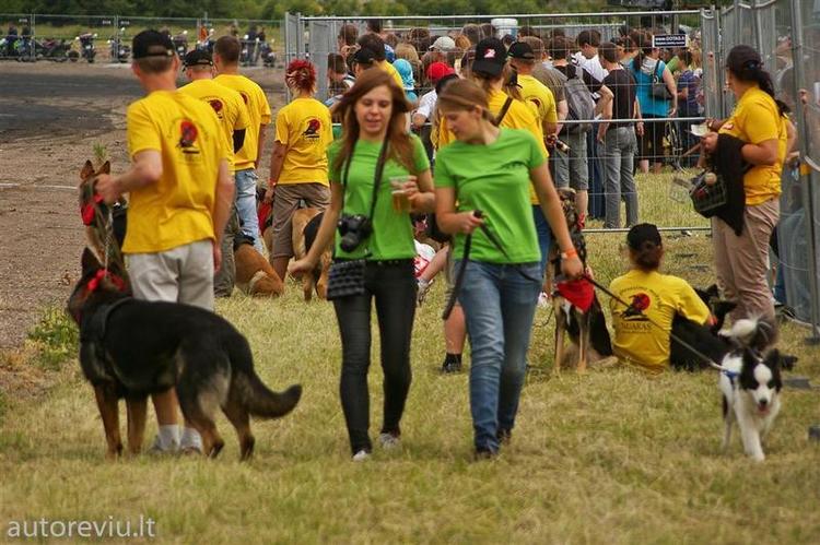 bike_show_millenium__40___Large_