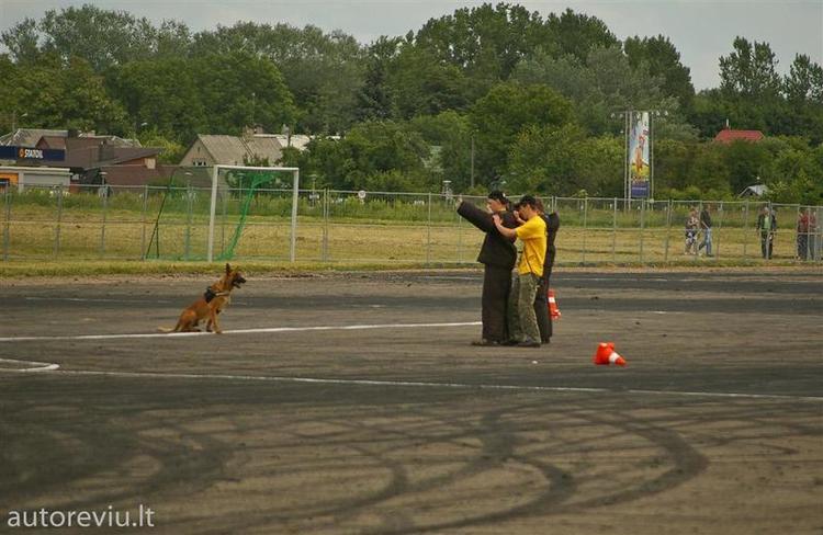 bike_show_millenium__41___Large_