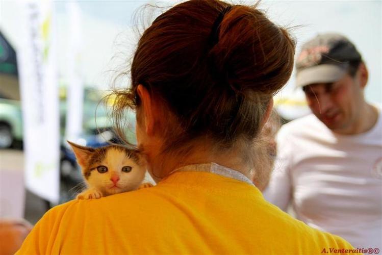 bike_show_millenium__63___Large_