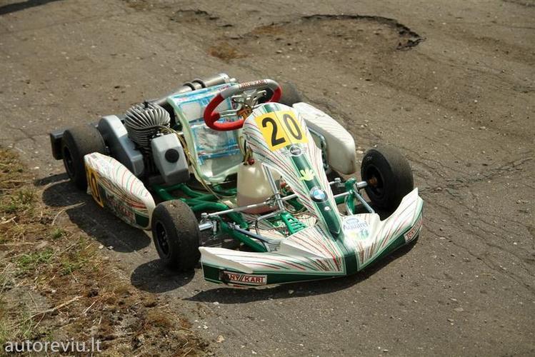 auto_show_millenium__61___Large_