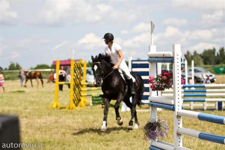 auto_show_millenium__82___Large_