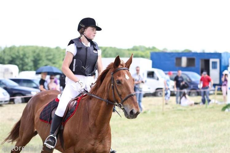 auto_show_millenium__83___Large_