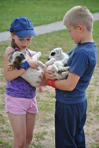 baikeriska_vaiku_stovykla__50_