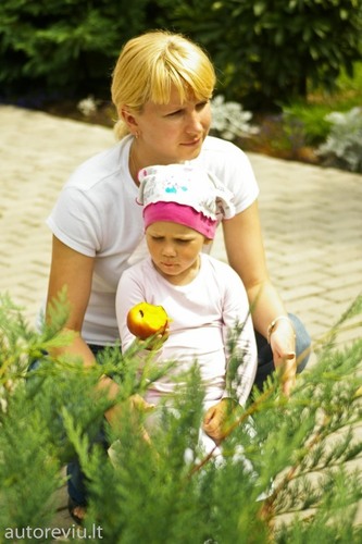 autovikingai_2012__13_