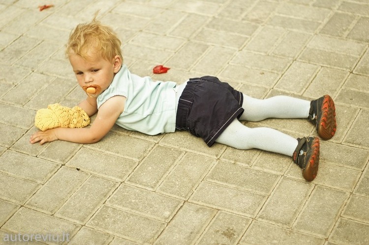 autovikingai_2012__24_