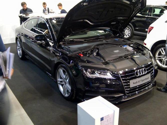 Paroda_Kaunas-021__Large_