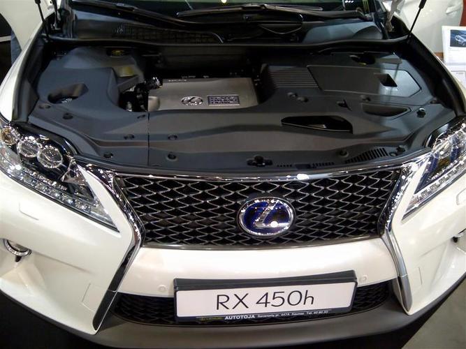 Paroda_Kaunas-025__Large_