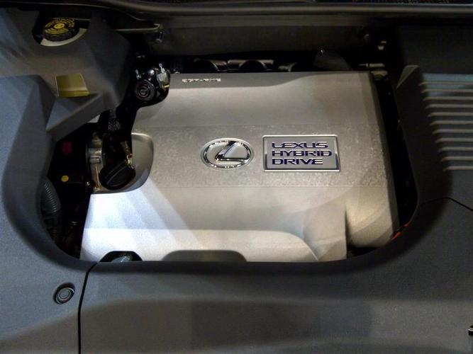 Paroda_Kaunas-026__Large_