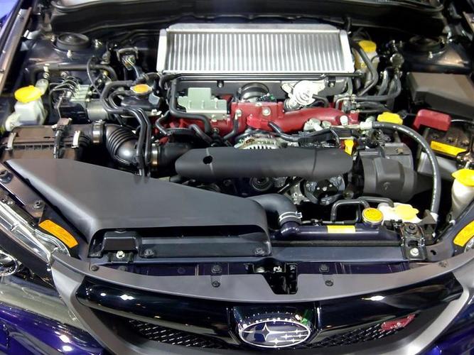 Paroda_Kaunas-029__Large_