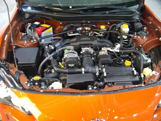 Paroda_Kaunas-047__Large_