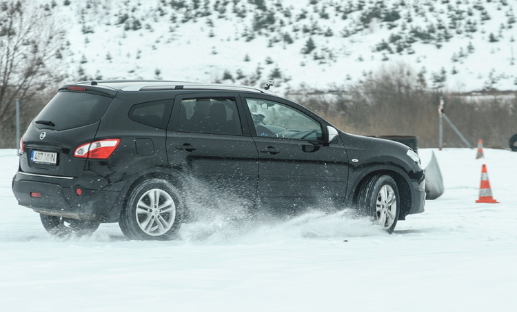 Ledo_karalius-2013-0797