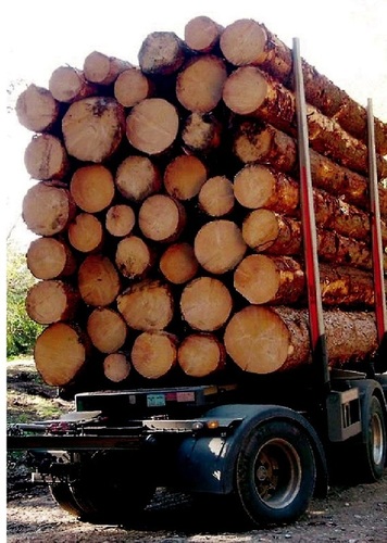 Mi__kove_____priekaba__kurios_svoris_tik_3480_kg