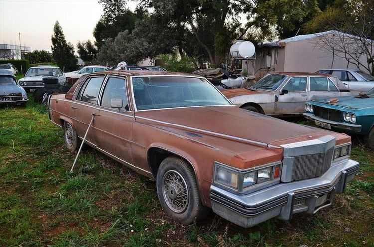 apleisti_automobiliai_Kipre__6_