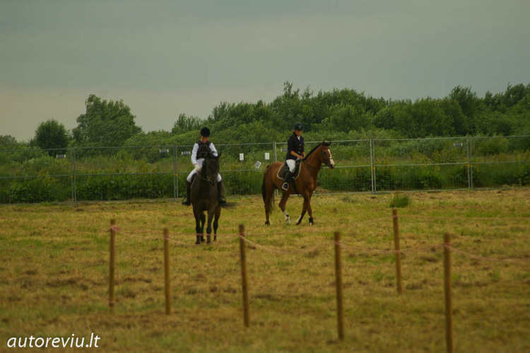 auto_show_millenium__27_