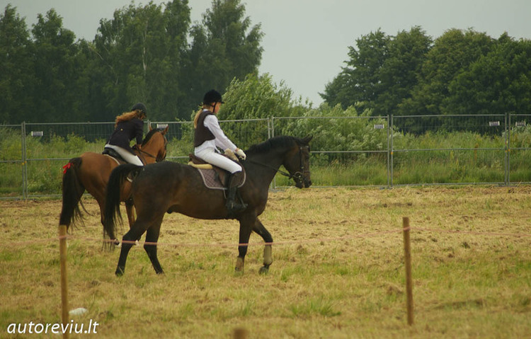 auto_show_millenium__28_