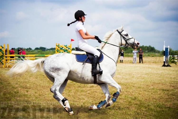 auto_show_millenium__34_