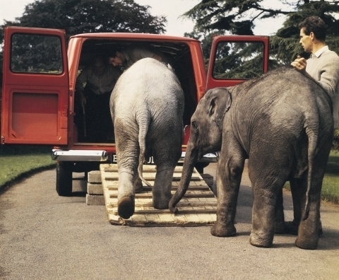 image001