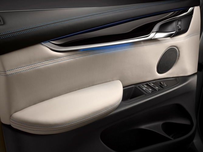 BMW_Concept_X5_eDrive_interior__5_