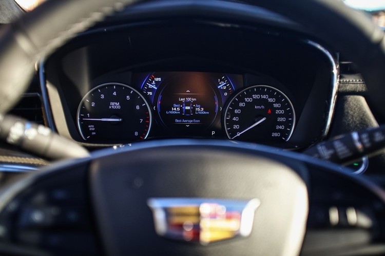 Egidijaus_Babelio_nuotr__8_