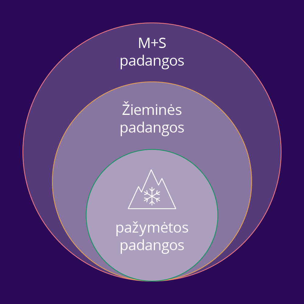 M plius S padangos