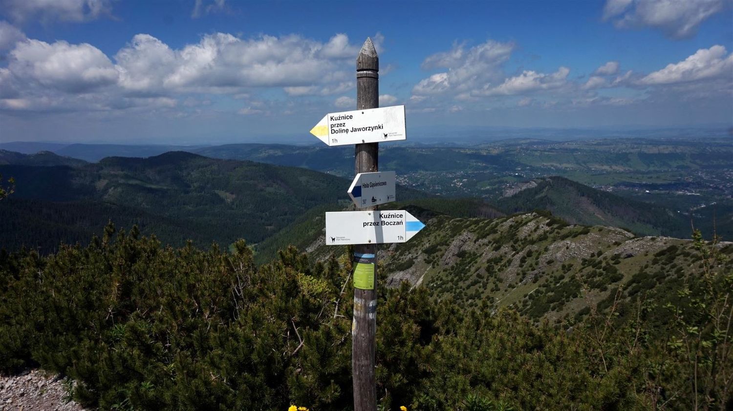 pesčiųjų maršrutai Pietinėje Lenkijoje